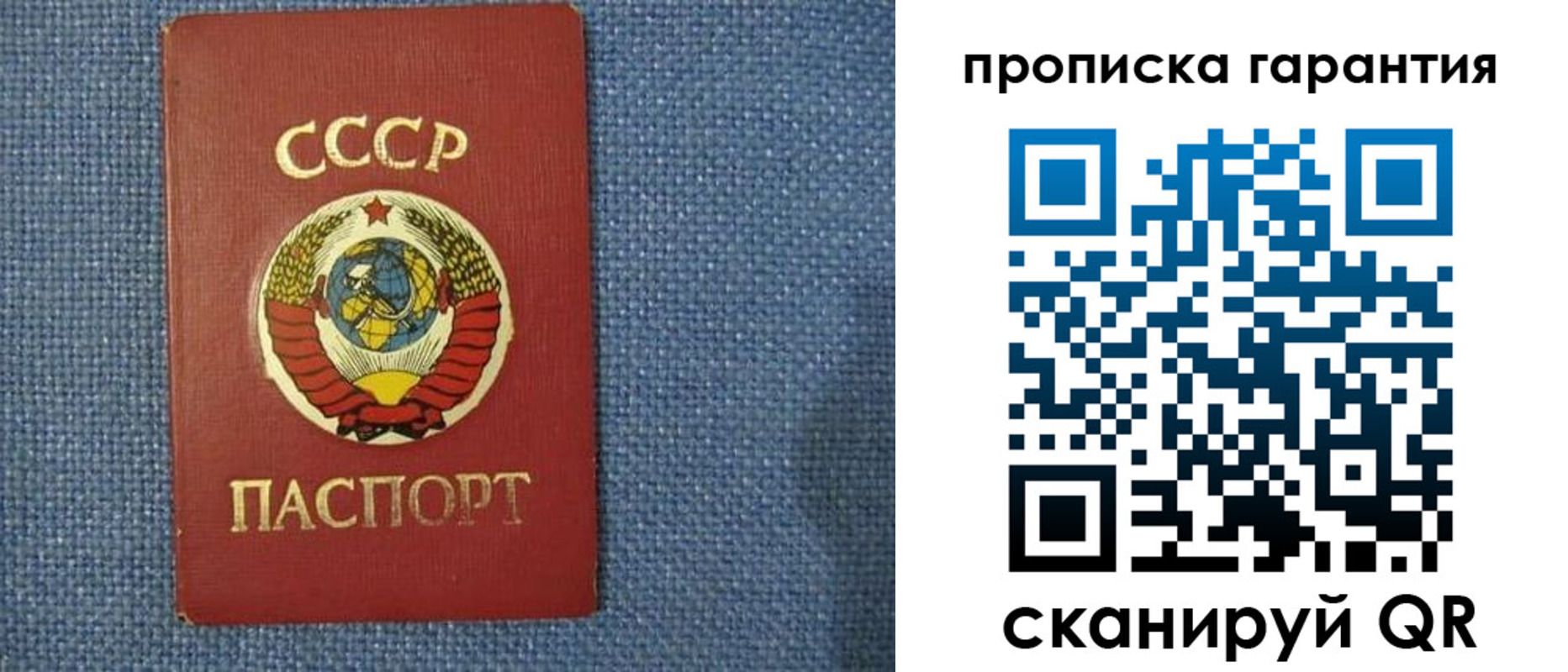 прописка 2025 в Мончегорске